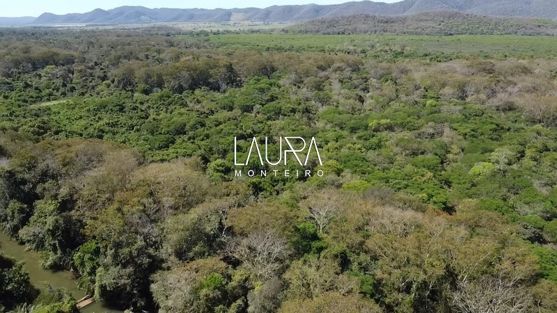 250 hectares de terra boa em Bodoquena MS: 3ª foto da galeria de imagens do imóvel