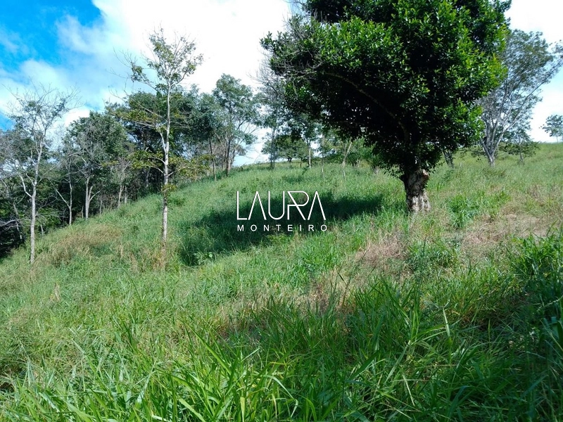 Área p pecuária e Turismo com cachoeira em Bodoquena MS: 11ª foto da galeria de imagens do imóvel