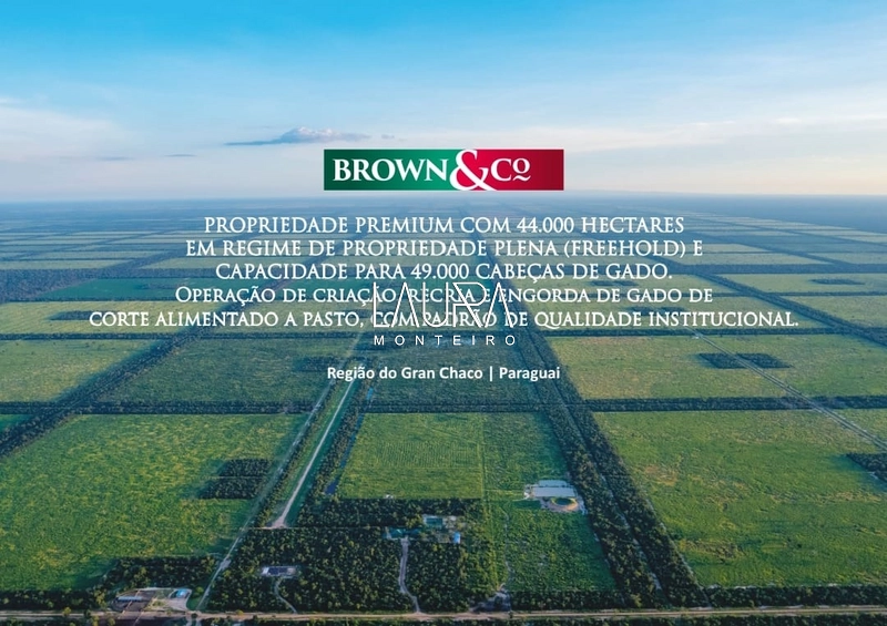 44.000 hectares com capacidade para 49.000 cabeças, Gran Chaco - PY: 1ª foto da galeria de imagens do imóvel
