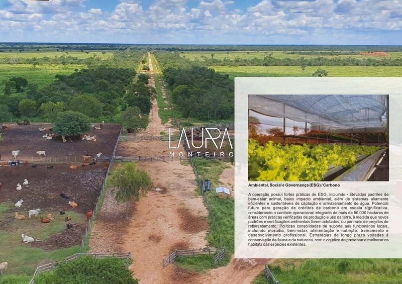 44.000 hectares com capacidade para 49.000 cabeças, Gran Chaco - PY: 6ª foto da galeria de imagens do imóvel