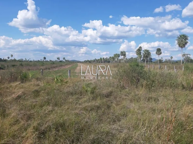 3.806 hectares com capacidade para 2.500 vacas, a 172 km de Bonito: 7ª foto da galeria de imagens do imóvel