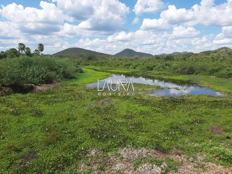 3.806 hectares com capacidade para 2.500 vacas, a 172 km de Bonito: 10ª foto da galeria de imagens do imóvel