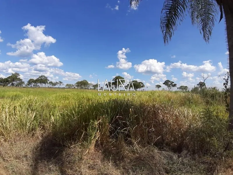 3.806 hectares com capacidade para 2.500 vacas, a 172 km de Bonito: 18ª foto da galeria de imagens do imóvel