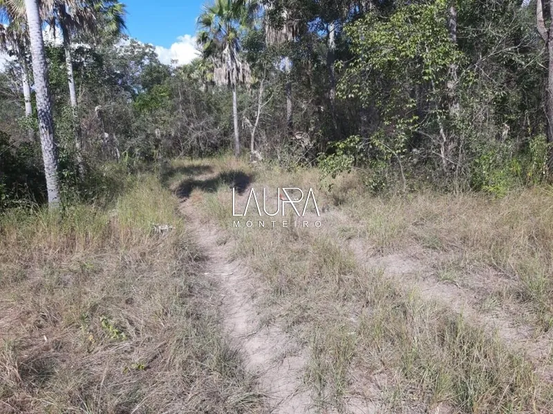3.806 hectares com capacidade para 2.500 vacas, a 172 km de Bonito: 15ª foto da galeria de imagens do imóvel