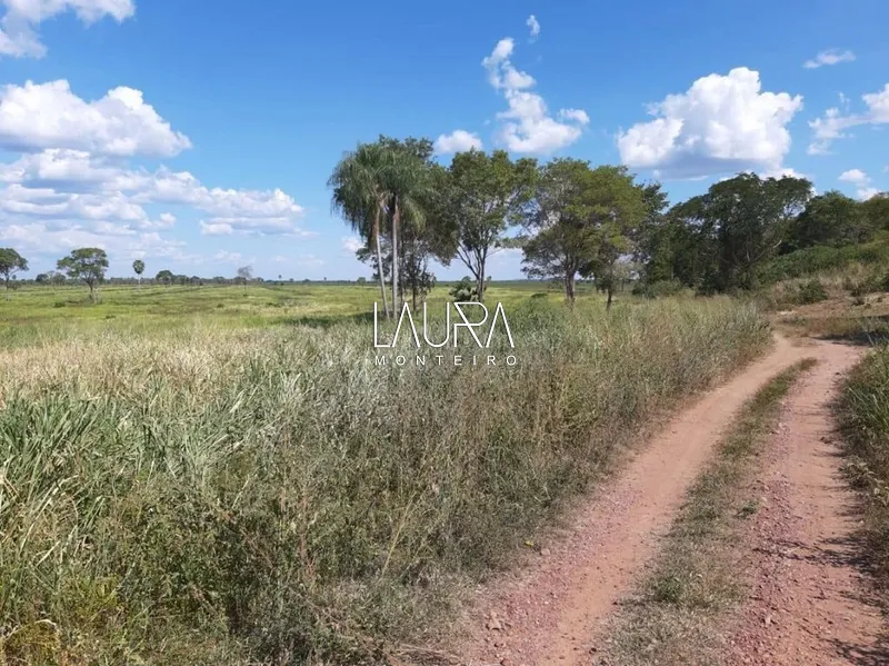 3.806 hectares com capacidade para 2.500 vacas, a 172 km de Bonito: 11ª foto da galeria de imagens do imóvel