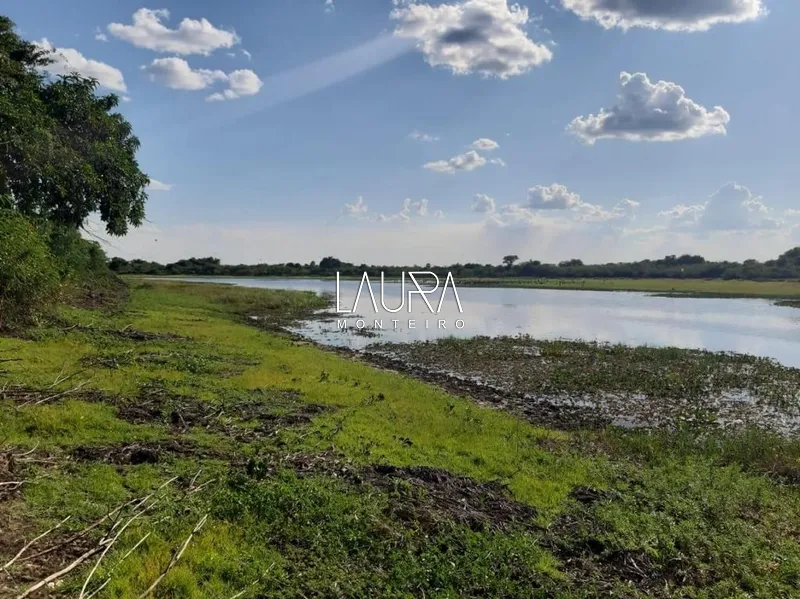 3.806 hectares com capacidade para 2.500 vacas, a 172 km de Bonito: 14ª foto da galeria de imagens do imóvel