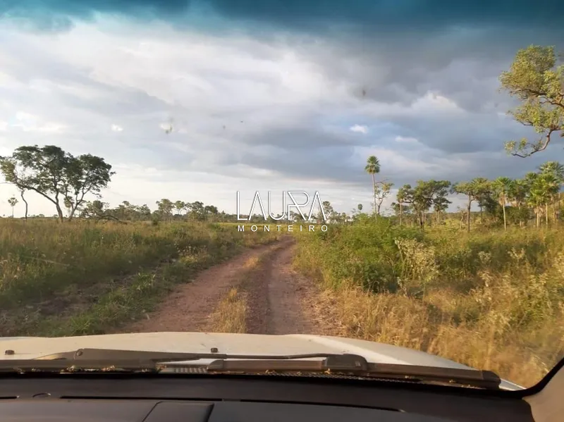 3.806 hectares com capacidade para 2.500 vacas, a 172 km de Bonito: 19ª foto da galeria de imagens do imóvel