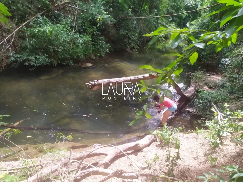 Chácara de 4 hectares com Rio Mimoso, fácil acesso pelo novo asfalto: 6ª foto da galeria de imagens do imóvel
