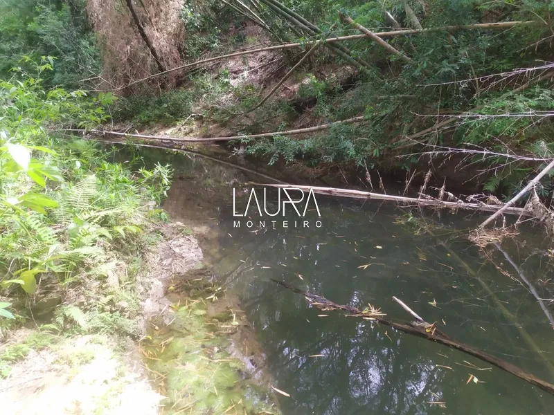 Chácara de 4 hectares com Rio Mimoso, fácil acesso pelo novo asfalto: 4ª foto da galeria de imagens do imóvel