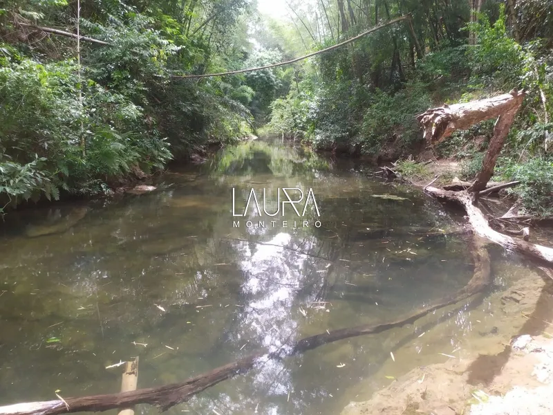 Chácara de 4 hectares com Rio Mimoso, fácil acesso pelo novo asfalto: 5ª foto da galeria de imagens do imóvel