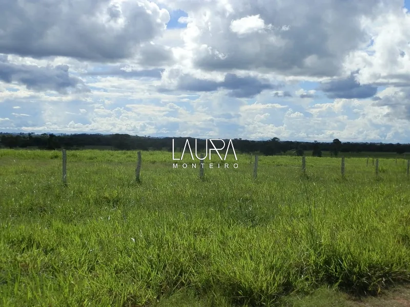 Fazenda Porteira Fechada: 2ª foto da galeria de imagens do imóvel
