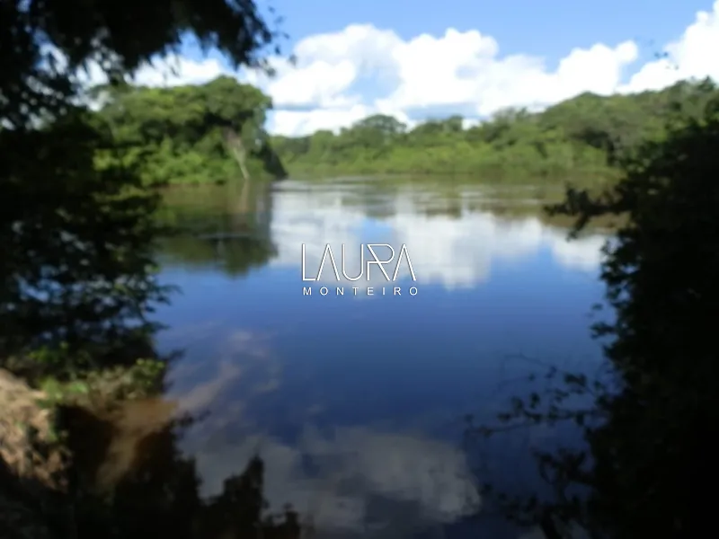 Fazenda Porteira Fechada: 9ª foto da galeria de imagens do imóvel