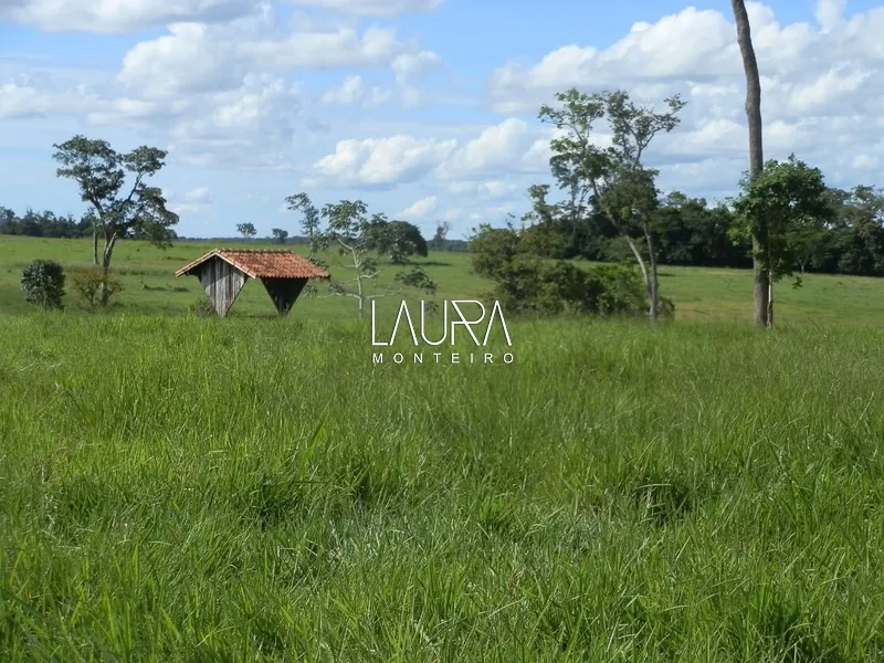 Fazenda Porteira Fechada: 3ª foto da galeria de imagens do imóvel