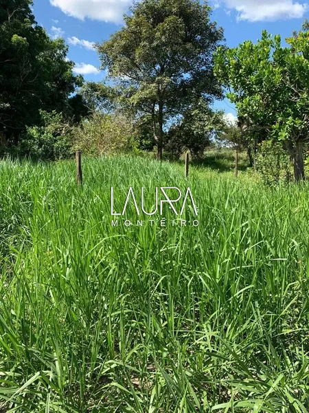 Faz. 90% mecanizavel em TABOCO MS (fralda de Pantanal): 15ª foto da galeria de imagens do imóvel