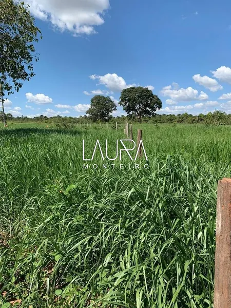 Faz. 90% mecanizavel em TABOCO MS (fralda de Pantanal): 6ª foto da galeria de imagens do imóvel