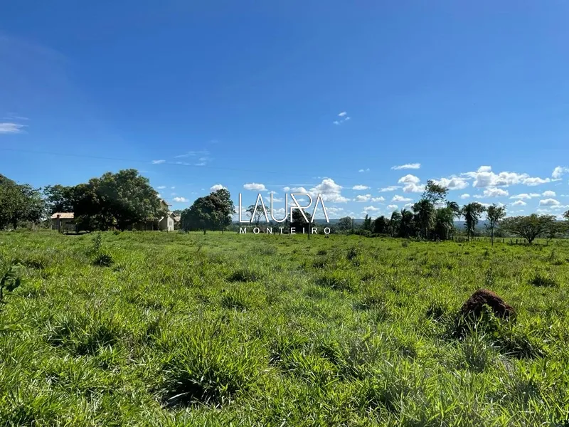 Faz. 90% mecanizavel em TABOCO MS (fralda de Pantanal): 5ª foto da galeria de imagens do imóvel