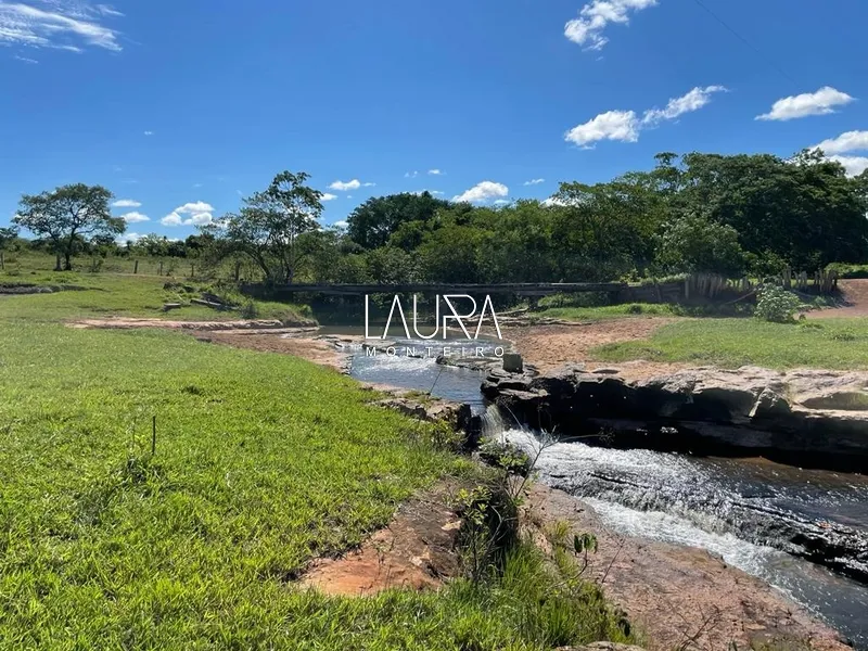 Faz. 90% mecanizavel em TABOCO MS (fralda de Pantanal): 10ª foto da galeria de imagens do imóvel