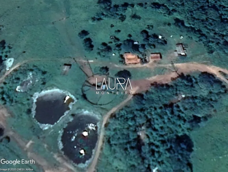 Faz. 90% mecanizavel em TABOCO MS (fralda de Pantanal): 3ª foto da galeria de imagens do imóvel