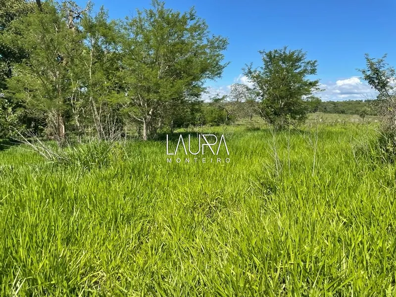 Faz. 90% mecanizavel em TABOCO MS (fralda de Pantanal): 12ª foto da galeria de imagens do imóvel