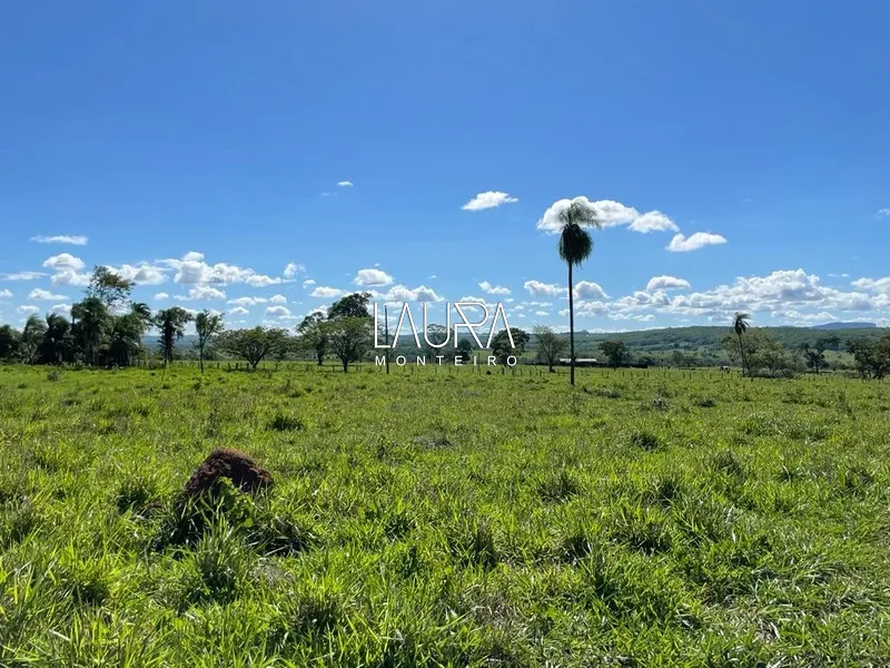 Faz. 90% mecanizavel em TABOCO MS (fralda de Pantanal): 8ª foto da galeria de imagens do imóvel