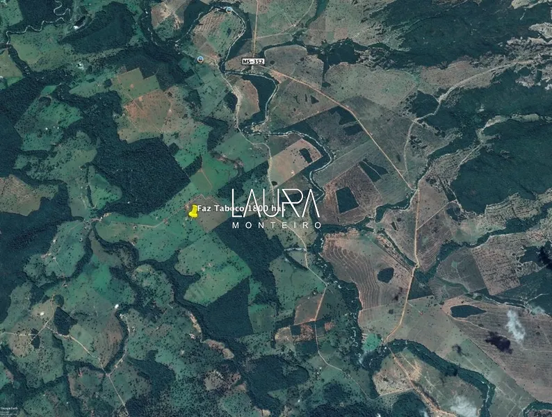 Faz. 90% mecanizavel em TABOCO MS (fralda de Pantanal): 4ª foto da galeria de imagens do imóvel