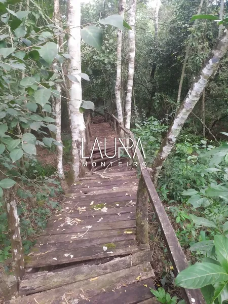 Chácara margeando o Rio Formosinho: 2ª foto da galeria de imagens do imóvel