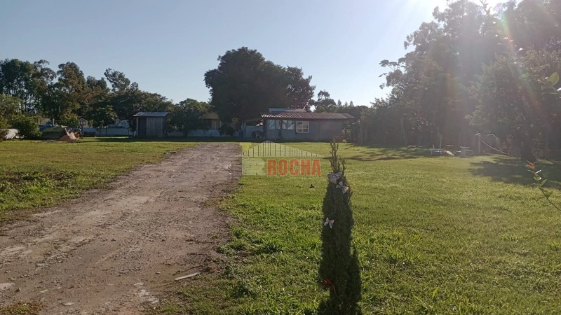 Excelente área, em Arroio Teixeira! Onde pode construir sua chácara!!: 2ª foto da galeria de imagens do imóvel