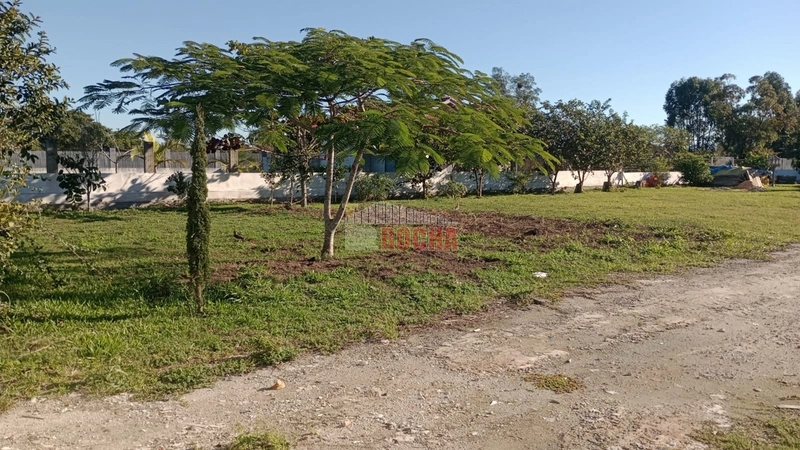 Excelente área, em Arroio Teixeira! Onde pode construir sua chácara!!: 5ª foto da galeria de imagens do imóvel