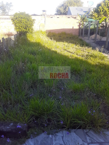 CASA EM ARROIO TEIXEIRA/CURUMIM!: 7ª foto da galeria de imagens do imóvel