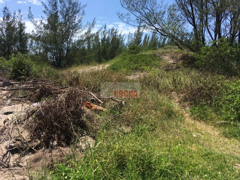 TERRENO BEIRA MAR EM ARROIO TEIXEIRA!: 5ª foto da galeria de imagens do imóvel