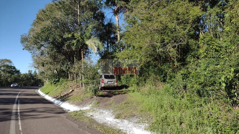 LINDO SÍTIO EM MAQUINÉ, MORRO ALTO!: 7ª foto da galeria de imagens do imóvel