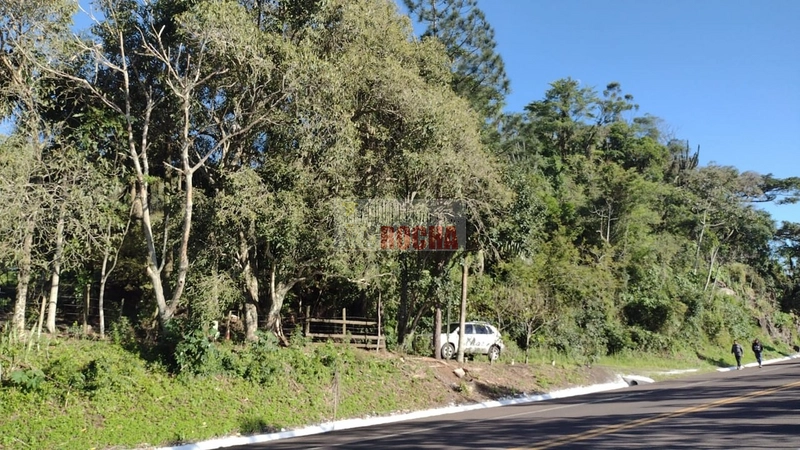 LINDO SÍTIO EM MAQUINÉ, MORRO ALTO!: 11ª foto da galeria de imagens do imóvel