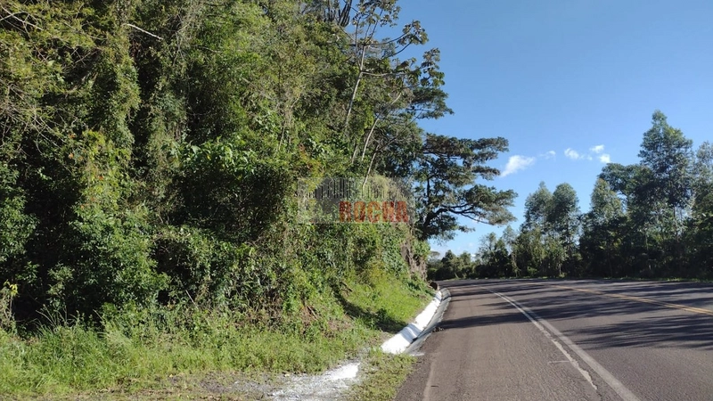 LINDO SÍTIO EM MAQUINÉ, MORRO ALTO!: 13ª foto da galeria de imagens do imóvel