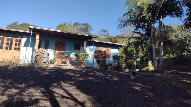 LINDO SÍTIO EM MAQUINÉ, MORRO ALTO!: 5ª foto da galeria de imagens do imóvel