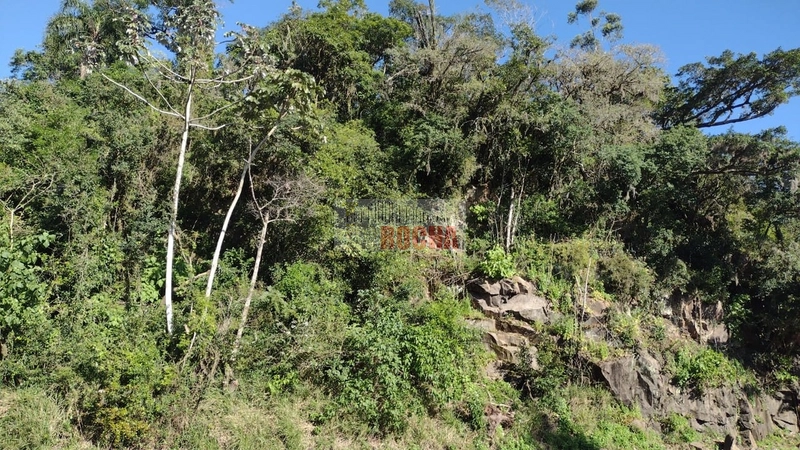LINDO SÍTIO EM MAQUINÉ, MORRO ALTO!: 16ª foto da galeria de imagens do imóvel