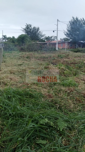 TERRENO DE ESQUINA 4 QUATRO QUADRAS DO MAR!: 5ª foto da galeria de imagens do imóvel