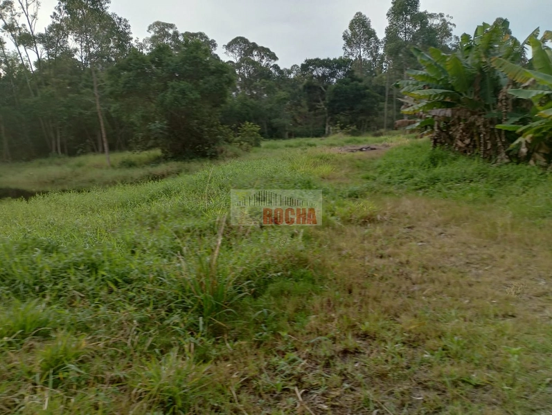 LINDA CHÁCARA EM ARROIO TEIXEIRA!: 13ª foto da galeria de imagens do imóvel