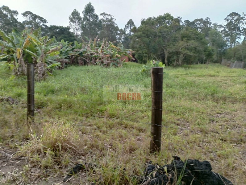LINDA CHÁCARA EM ARROIO TEIXEIRA!: 10ª foto da galeria de imagens do imóvel