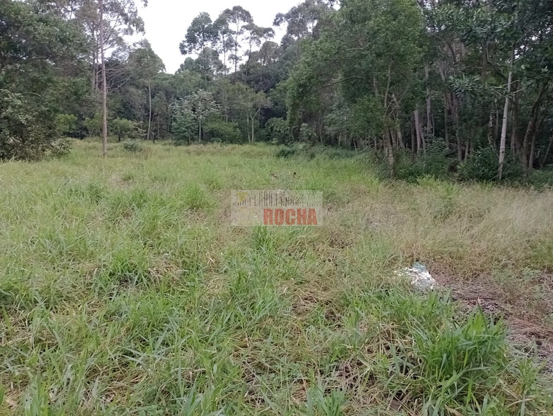 LINDA CHÁCARA EM ARROIO TEIXEIRA!: 18ª foto da galeria de imagens do imóvel