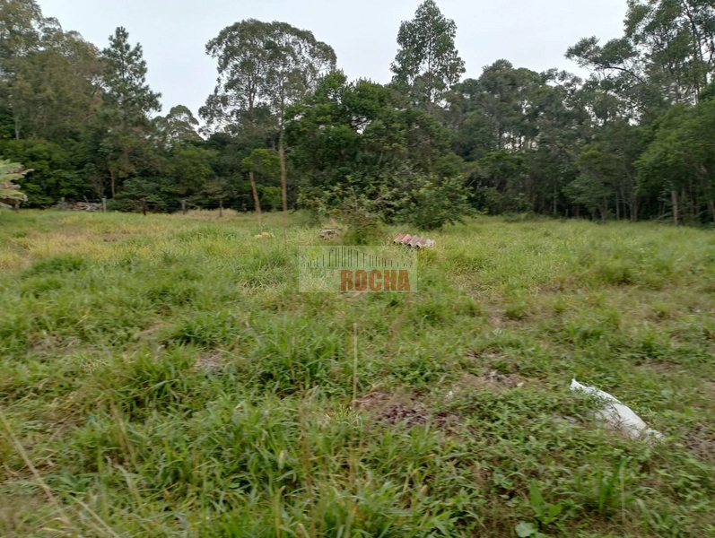 LINDA CHÁCARA EM ARROIO TEIXEIRA!: 22ª foto da galeria de imagens do imóvel