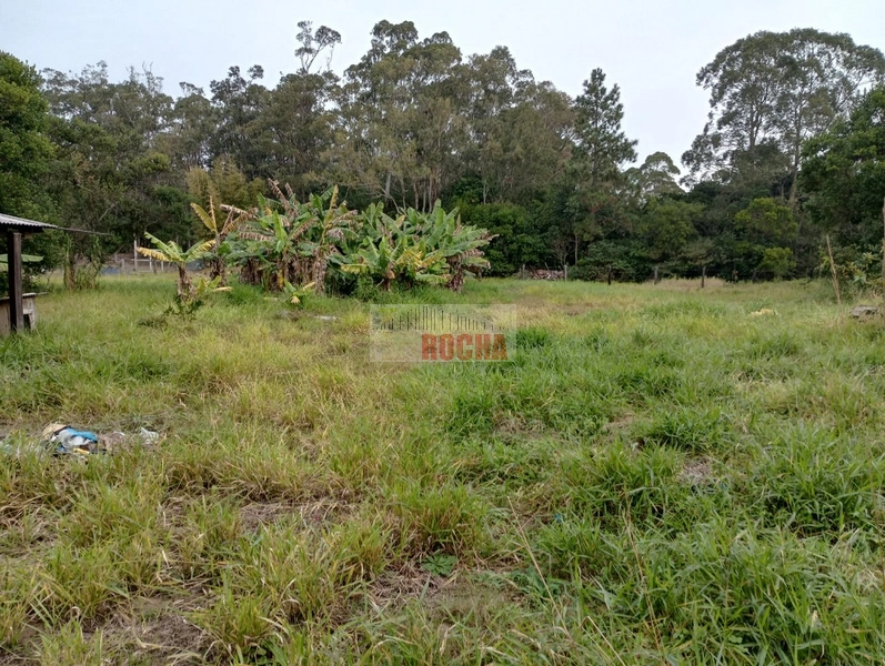 LINDA CHÁCARA EM ARROIO TEIXEIRA!: 20ª foto da galeria de imagens do imóvel