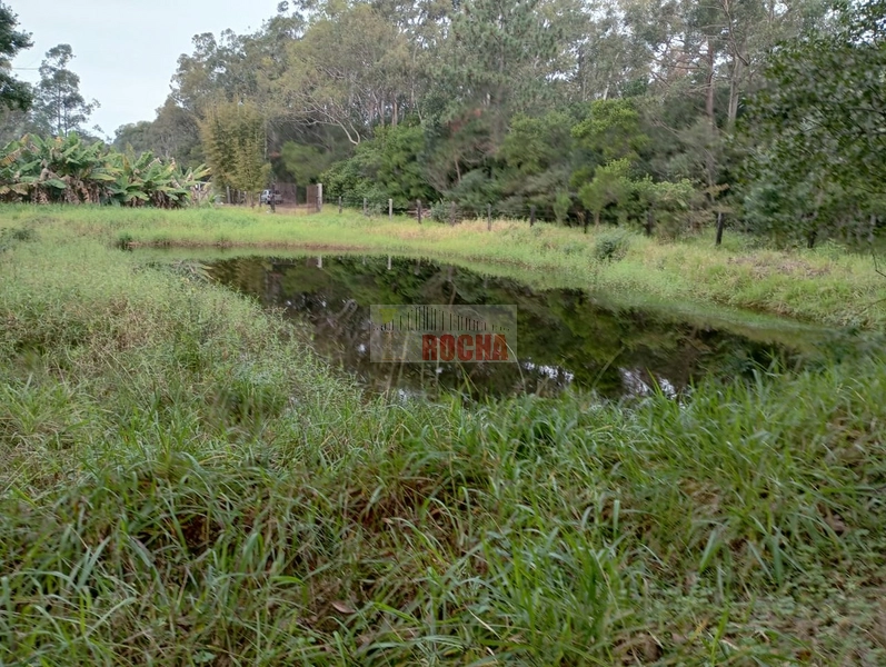 LINDA CHÁCARA EM ARROIO TEIXEIRA!: 2ª foto da galeria de imagens do imóvel