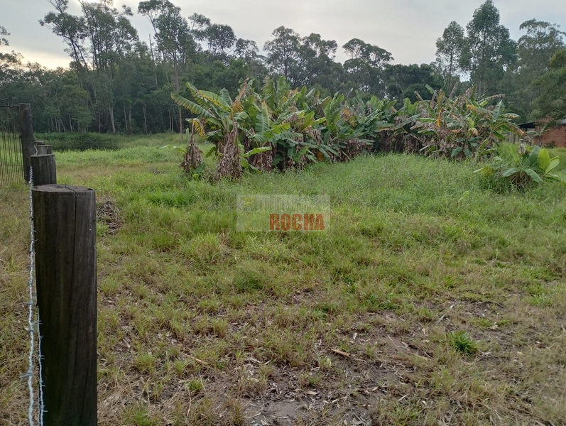 LINDA CHÁCARA EM ARROIO TEIXEIRA!: 23ª foto da galeria de imagens do imóvel