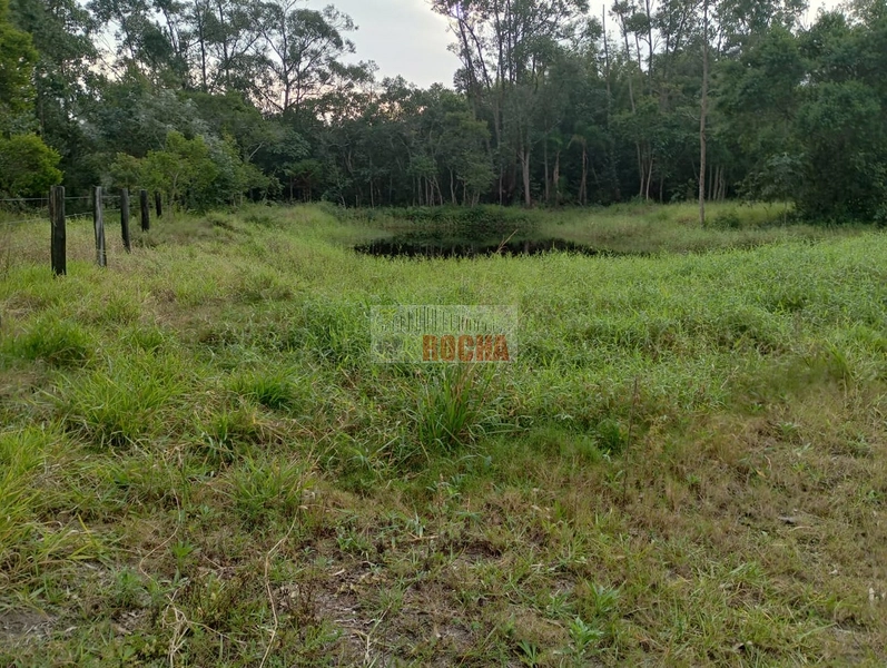 LINDA CHÁCARA EM ARROIO TEIXEIRA!: 24ª foto da galeria de imagens do imóvel