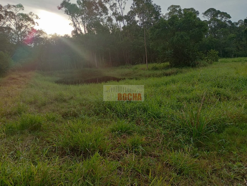 LINDA CHÁCARA EM ARROIO TEIXEIRA!: 11ª foto da galeria de imagens do imóvel