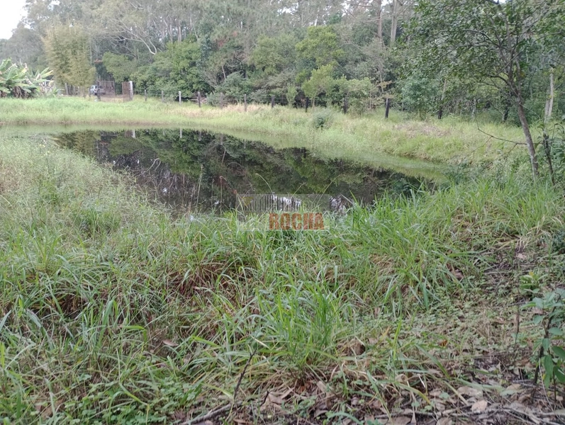 LINDA CHÁCARA EM ARROIO TEIXEIRA!: 15ª foto da galeria de imagens do imóvel