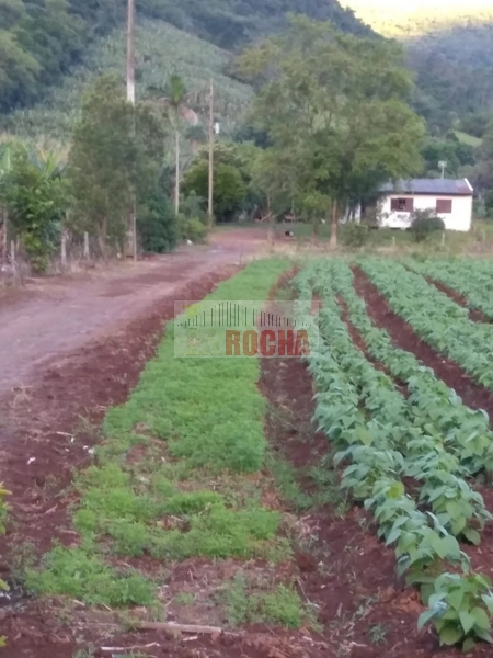 LINDA AREA DE TERRAS EM BOA UNIÃO!: 1ª foto da galeria de imagens do imóvel