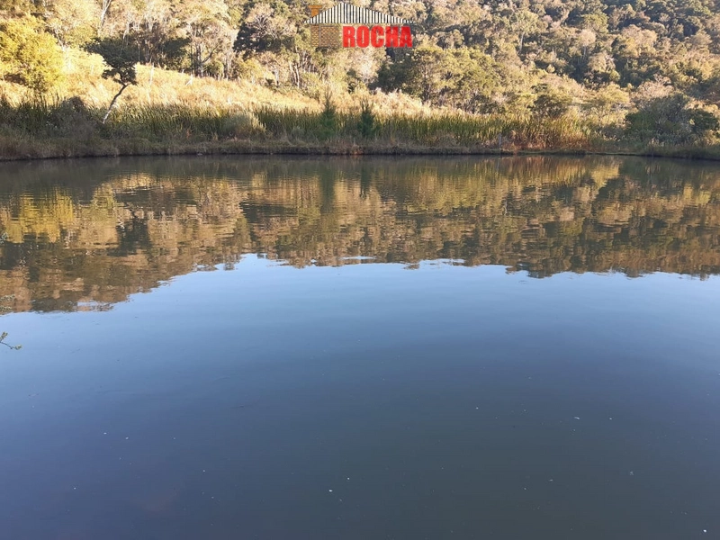 TERRENO DE ÁREA RURAL EM NOVA TRIPOLI!: 1ª foto da galeria de imagens do imóvel
