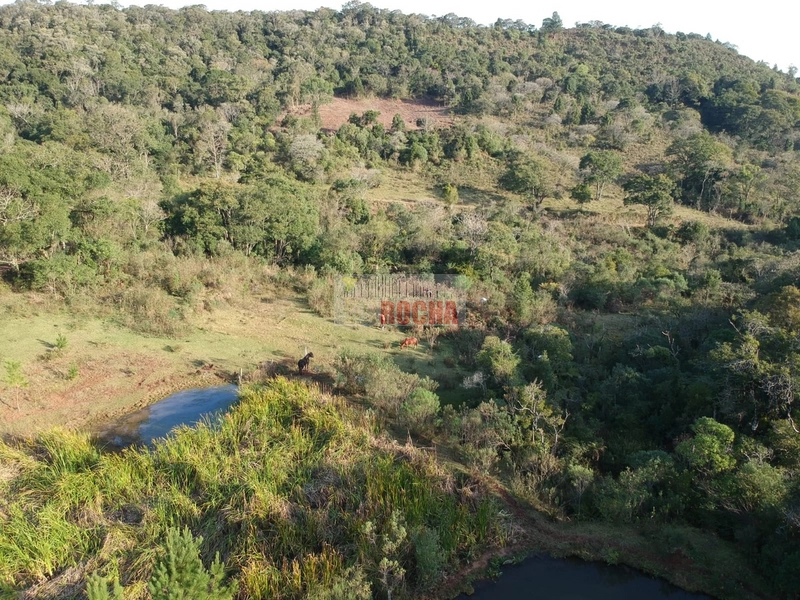 TERRENO DE ÁREA RURAL EM NOVA TRIPOLI!: 6ª foto da galeria de imagens do imóvel