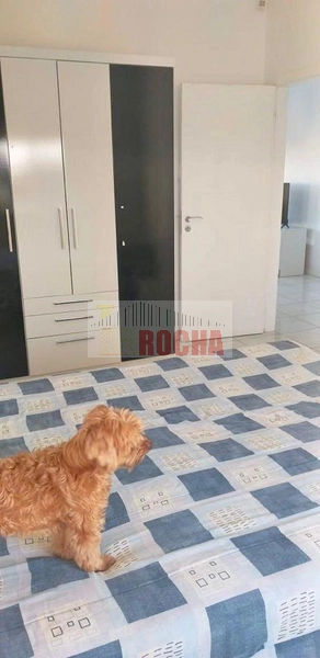 Prédio comercial em Praia Arroio Teixeira: 5ª foto da galeria de imagens do imóvel